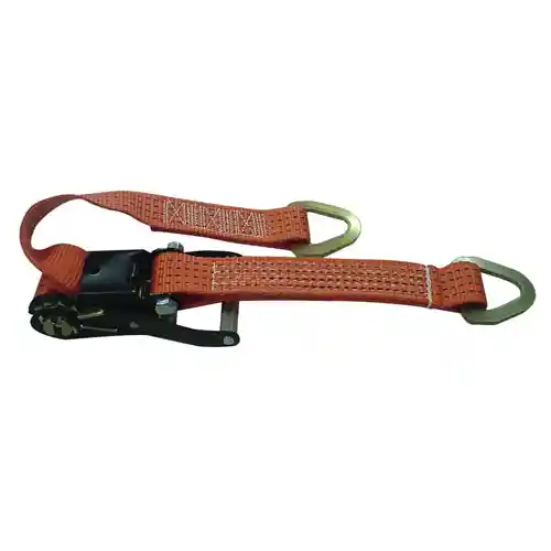 2" Ratchet Tie Down with Delta Ring